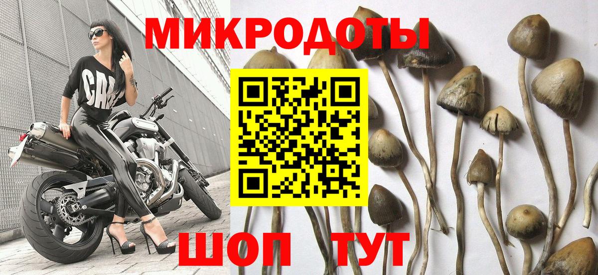 Галлюциногенные грибы GOLDEN TEACHER Махачкала