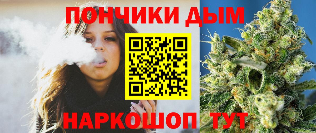 Каннабис сатива Махачкала